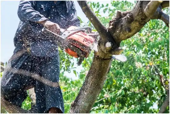 tree services Fort Towson